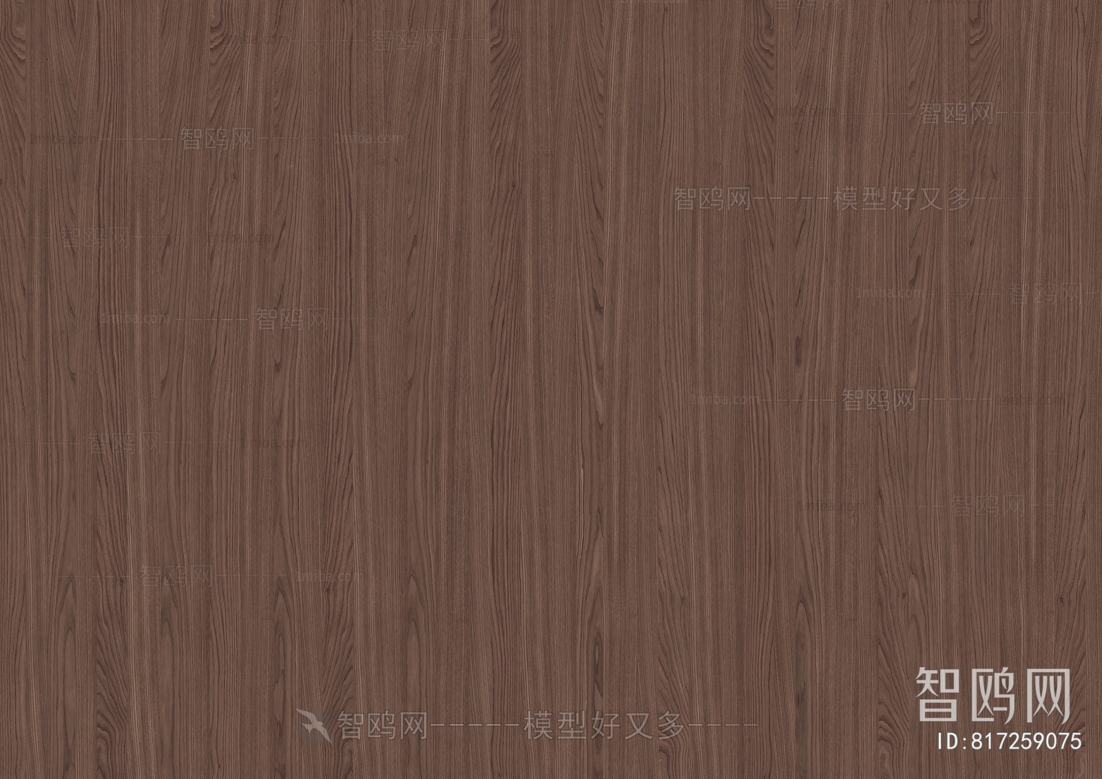 Wood Texture