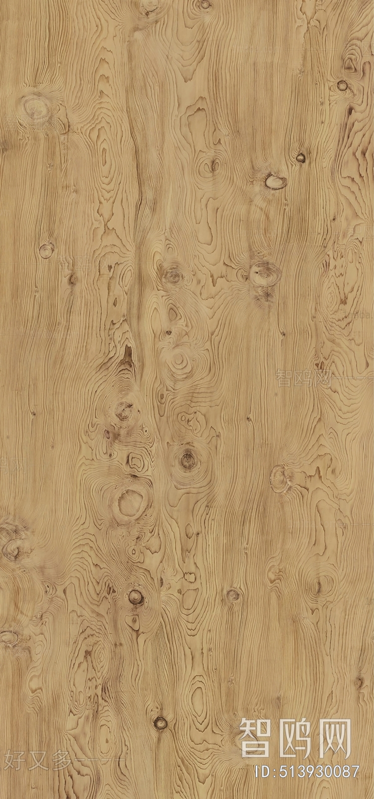 Wood Texture