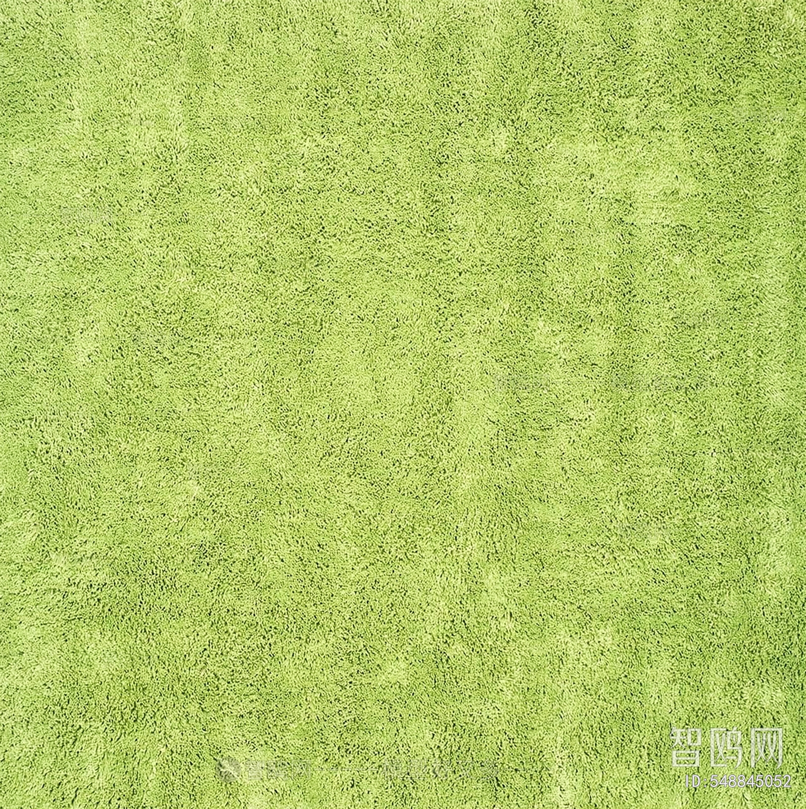 Grass