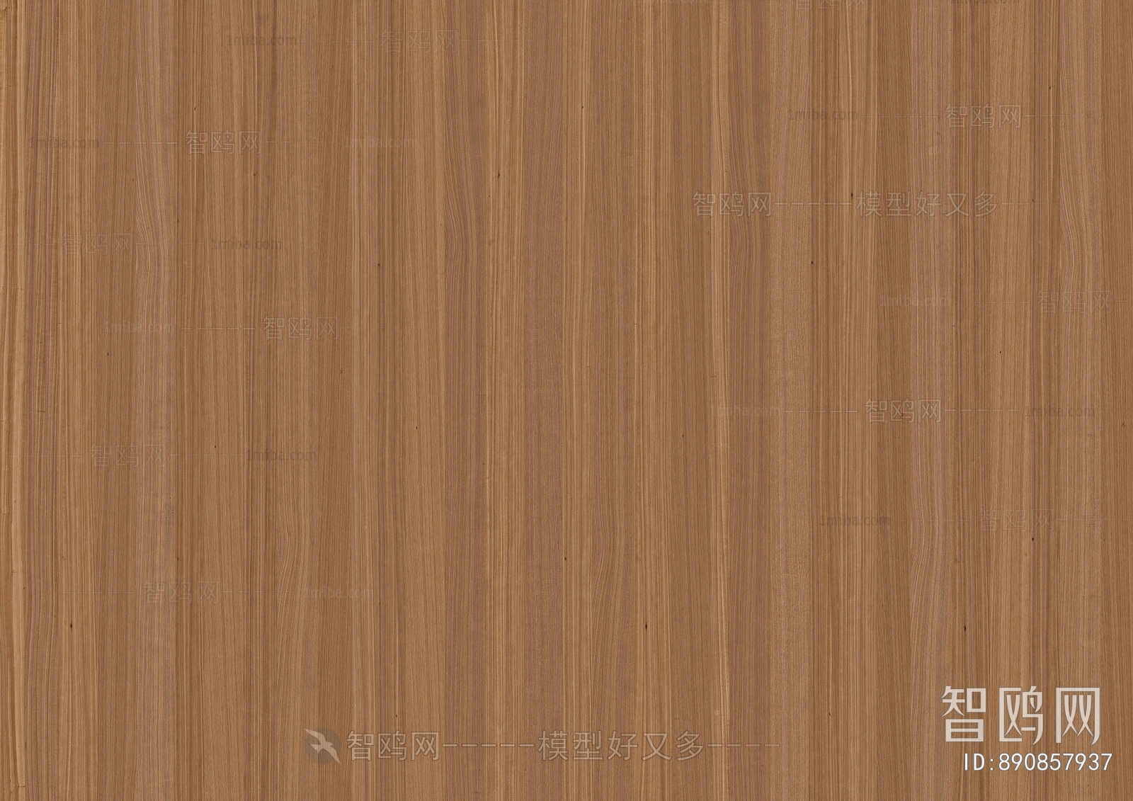 Wood Texture