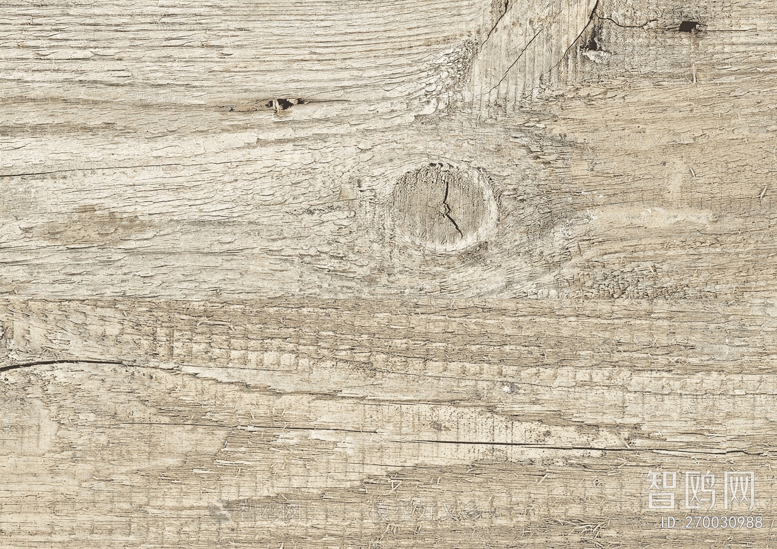 Wood Texture