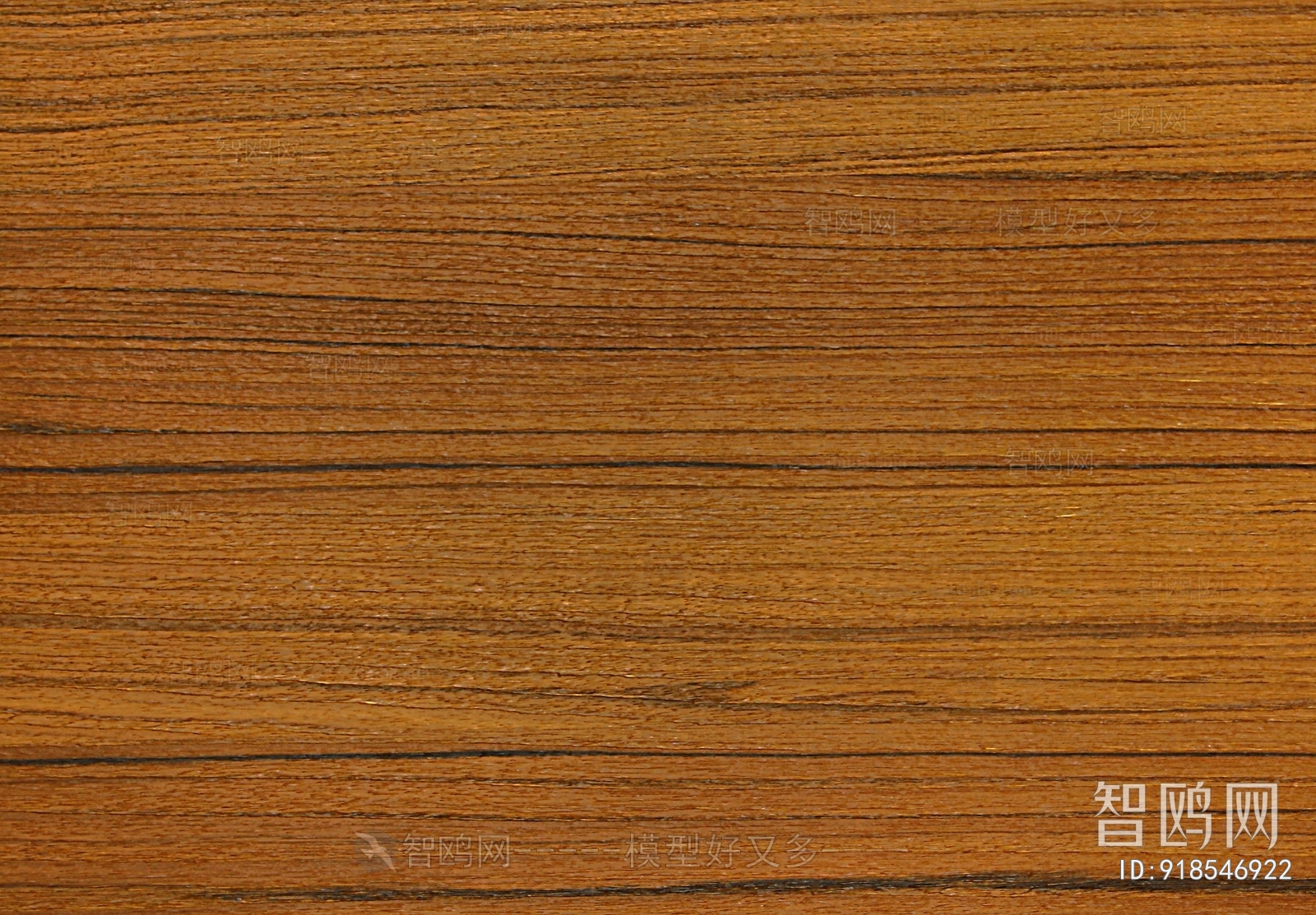 Wood Texture