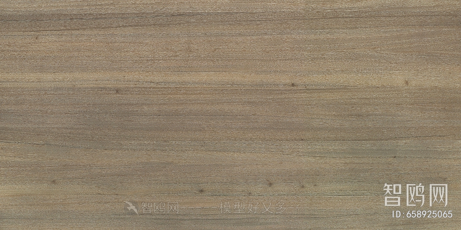 Wood Texture