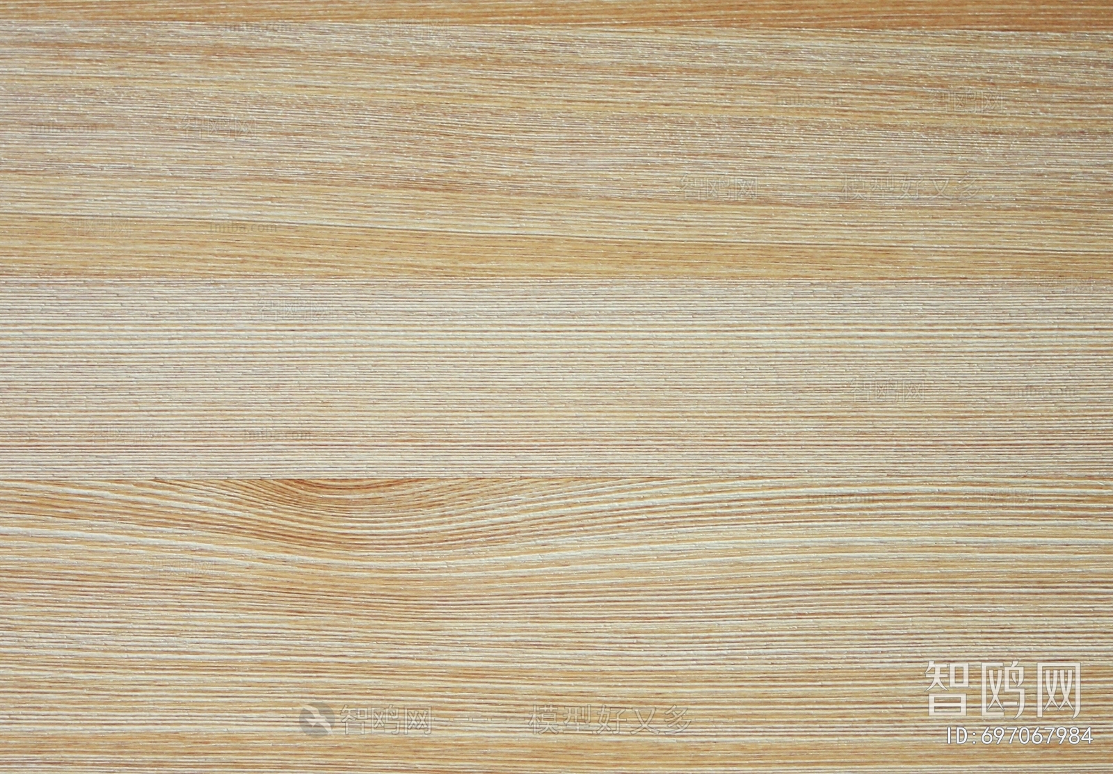 Wood Texture