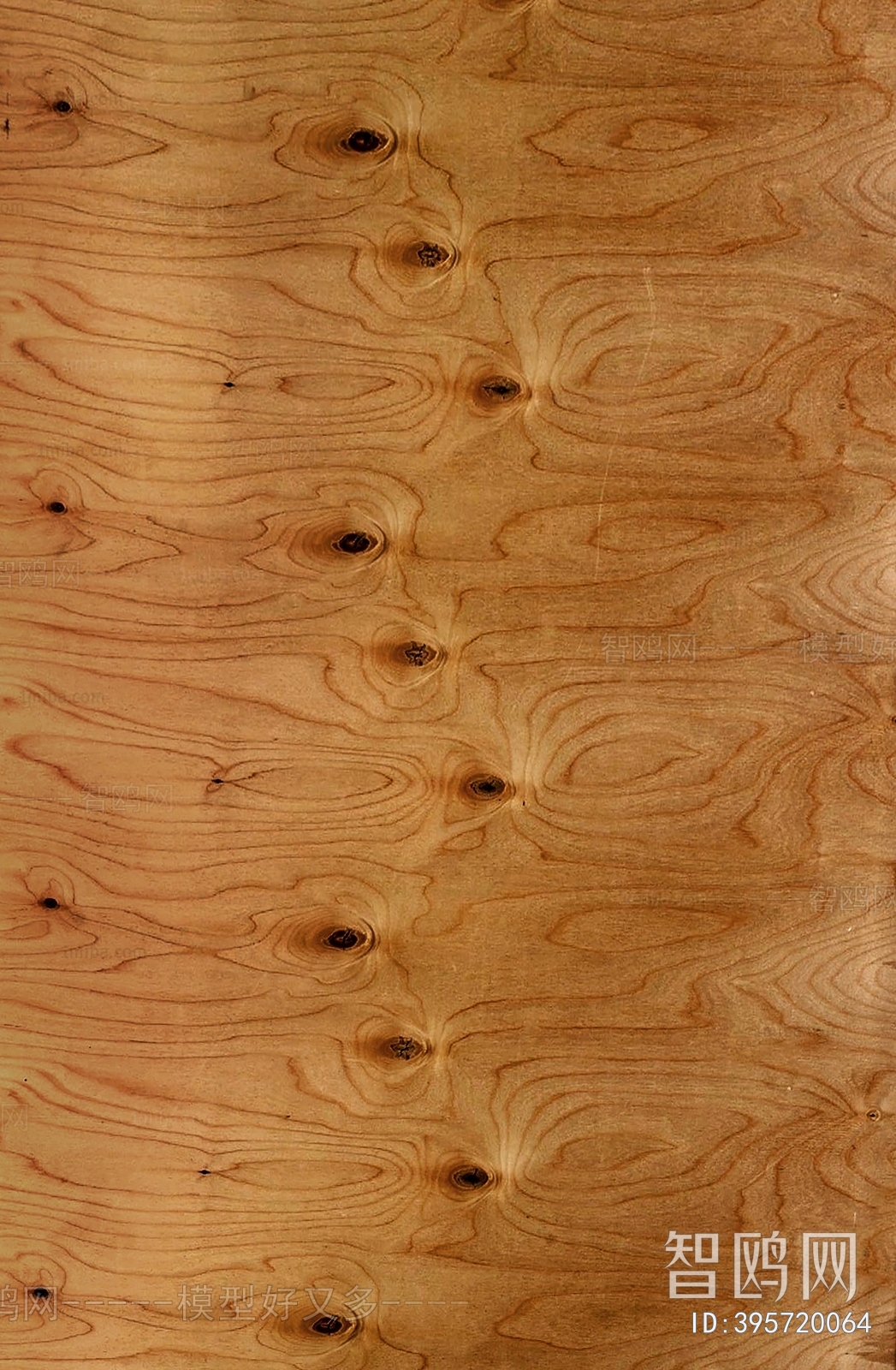 Wood Texture