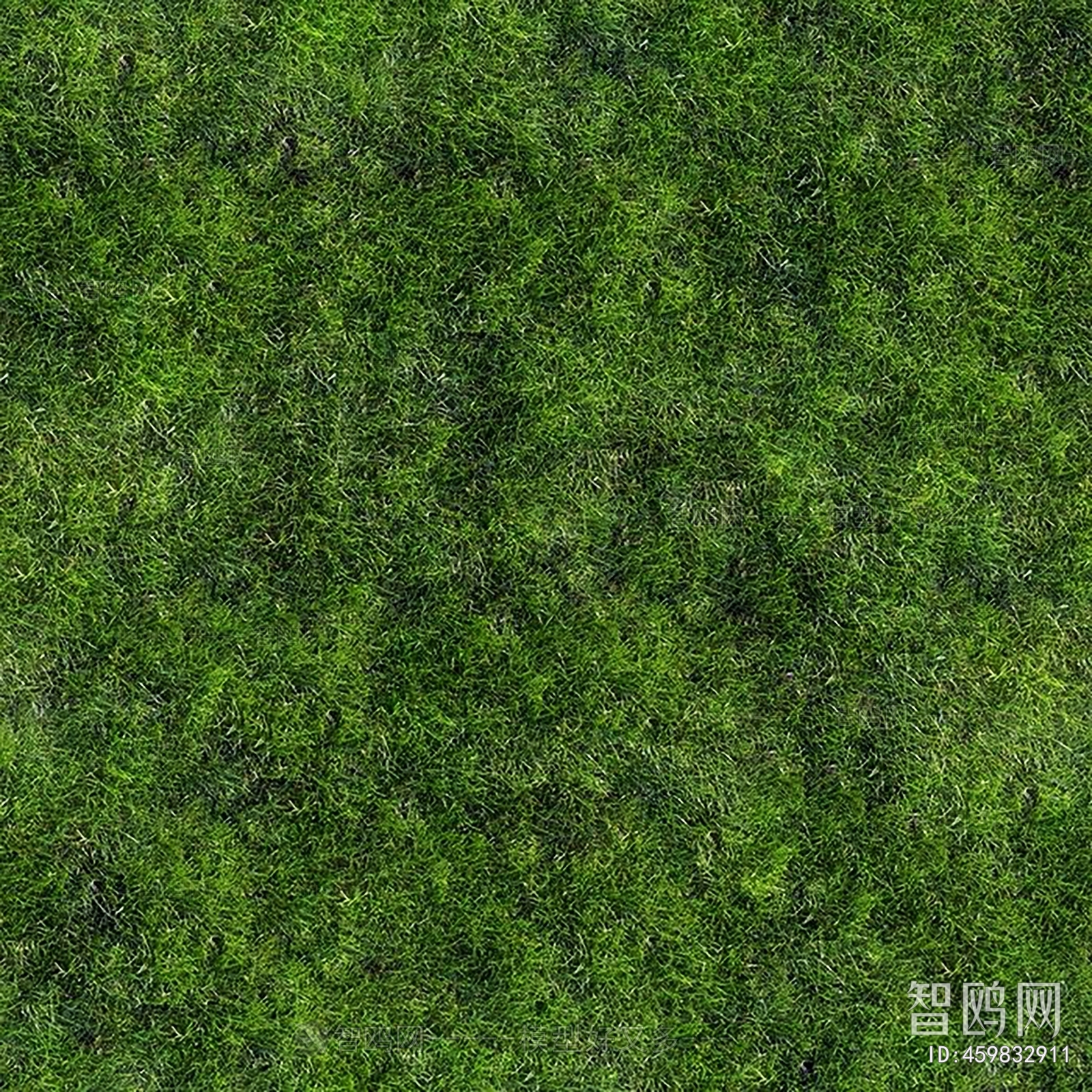地面绿化草皮地面贴图