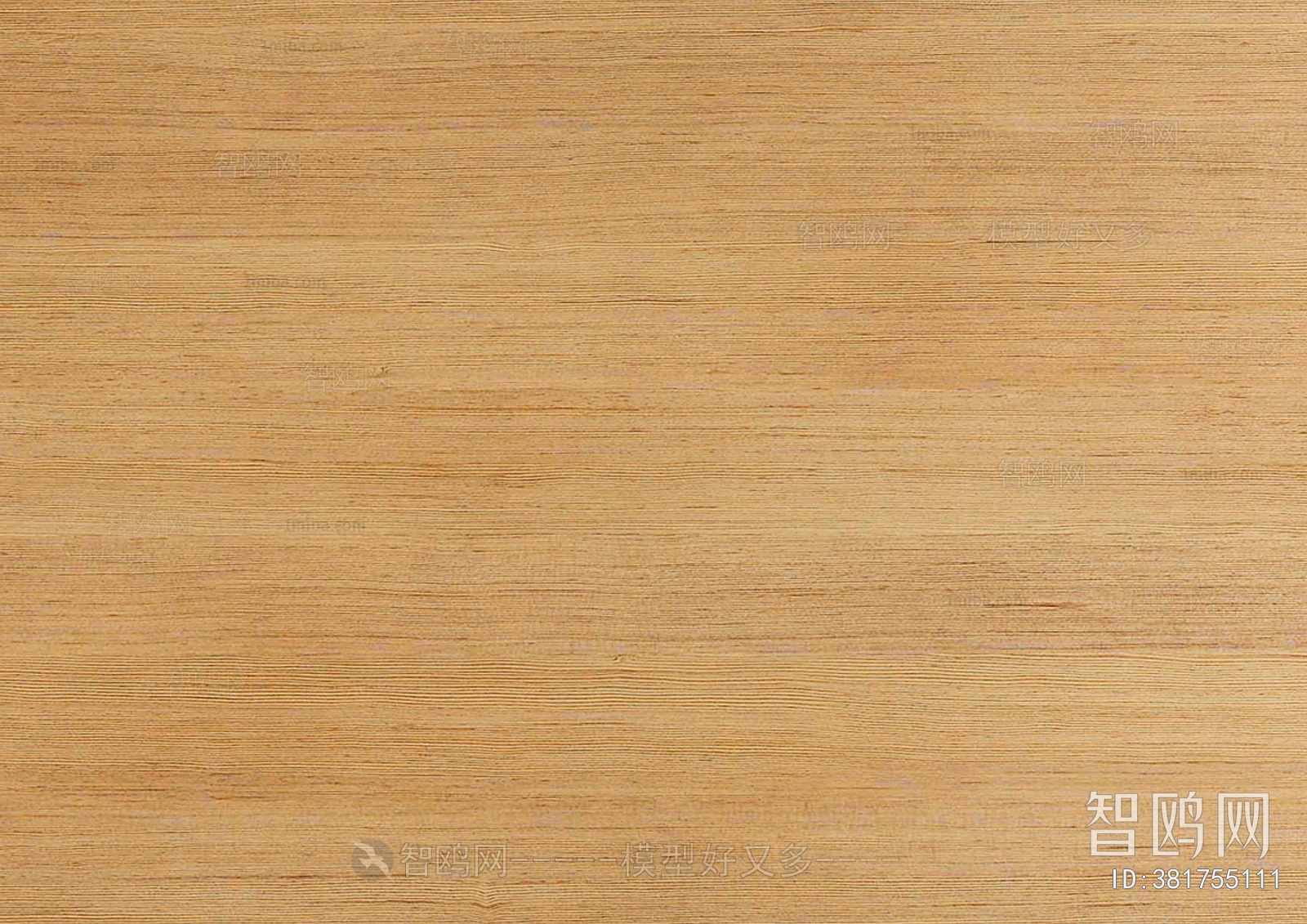 Wood Texture