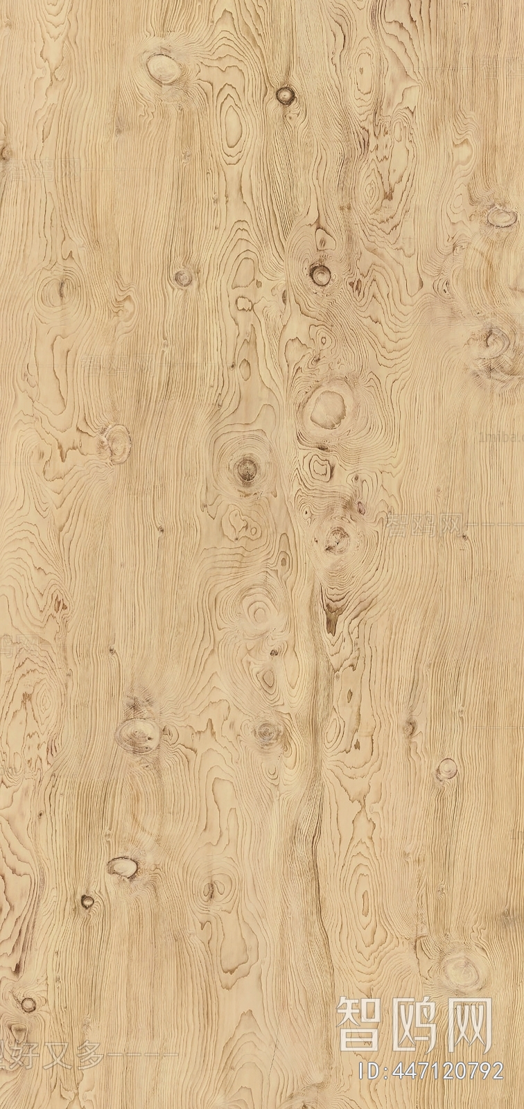 Wood Texture