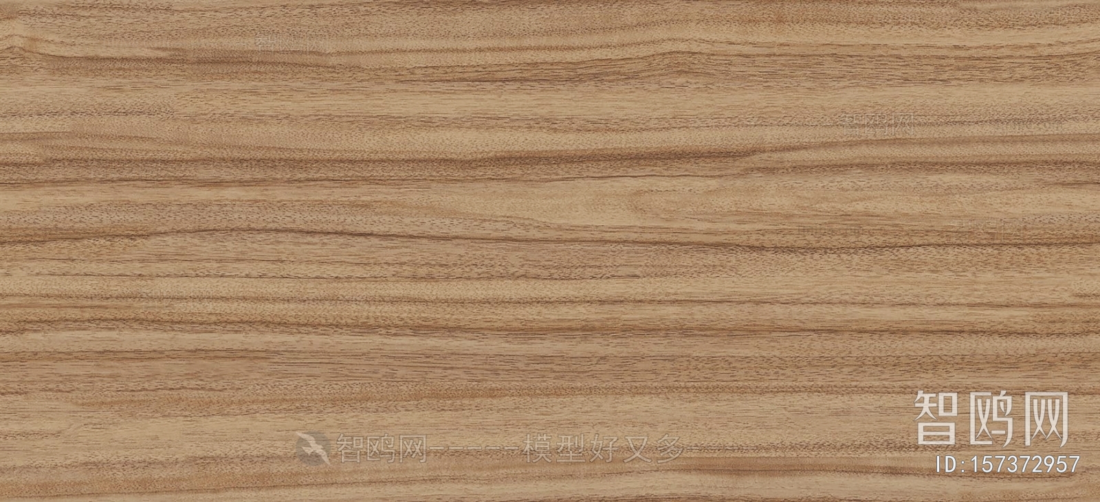 Wood Texture