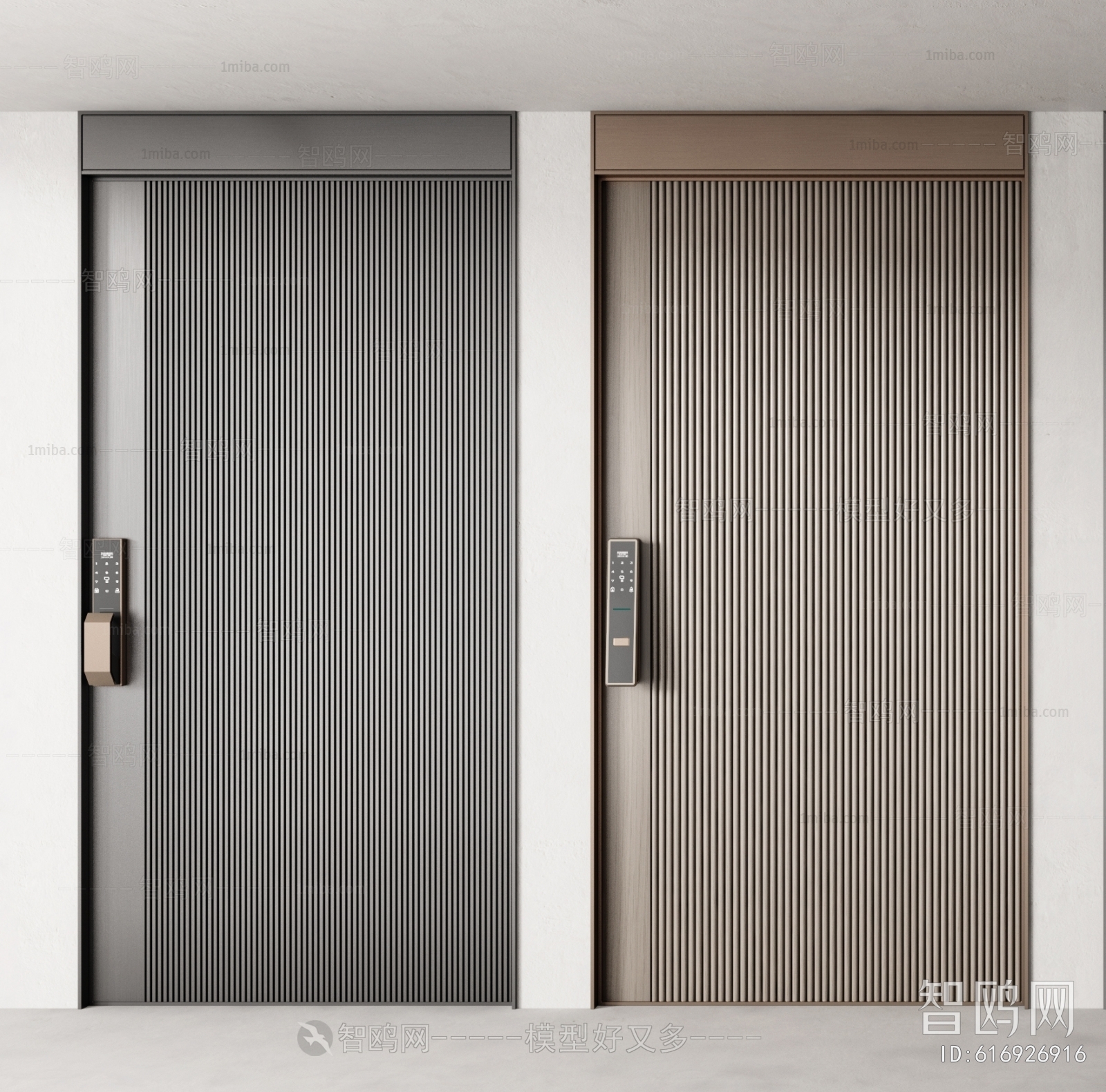 Modern Entrance Door