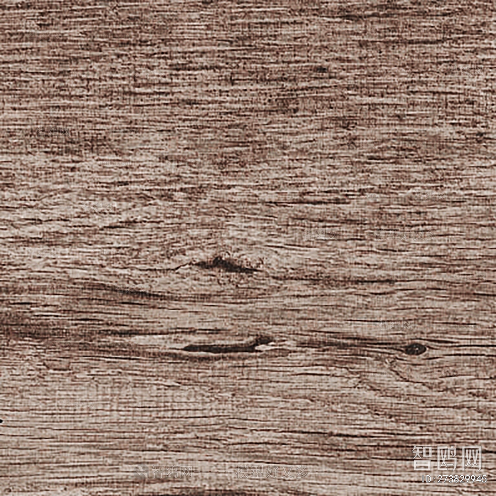 Bark Texture