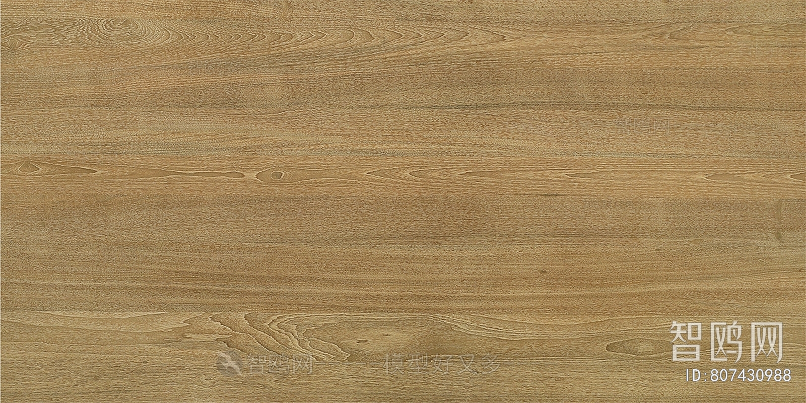 Wood Texture