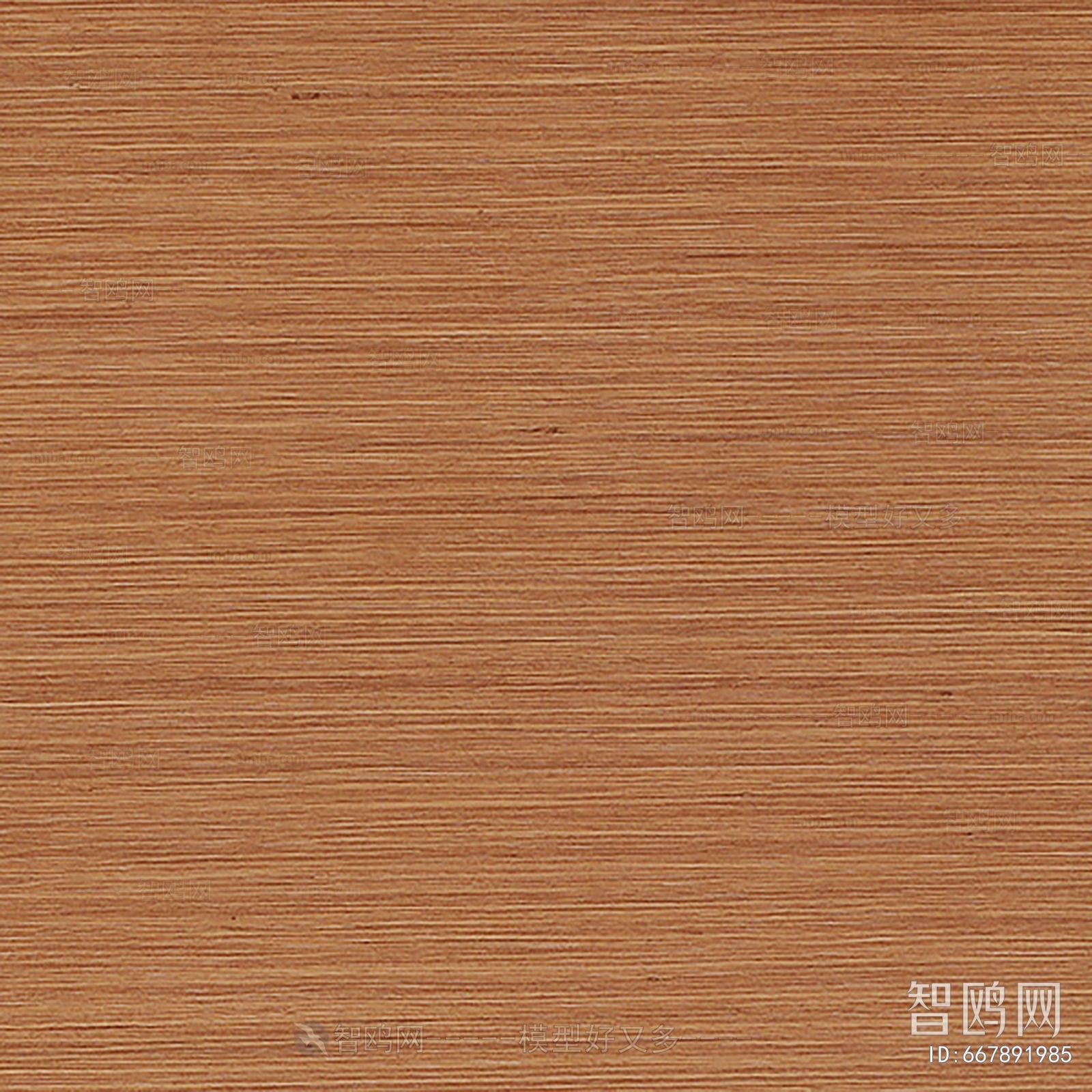 Wood Texture