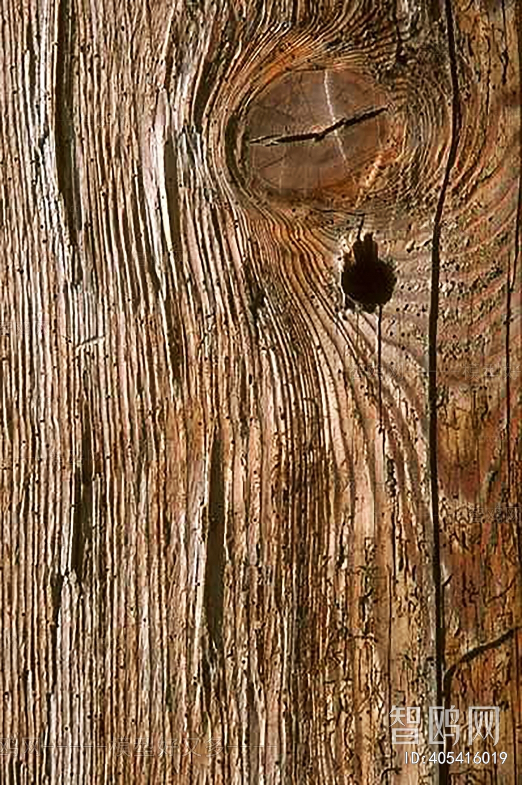 Bark Texture