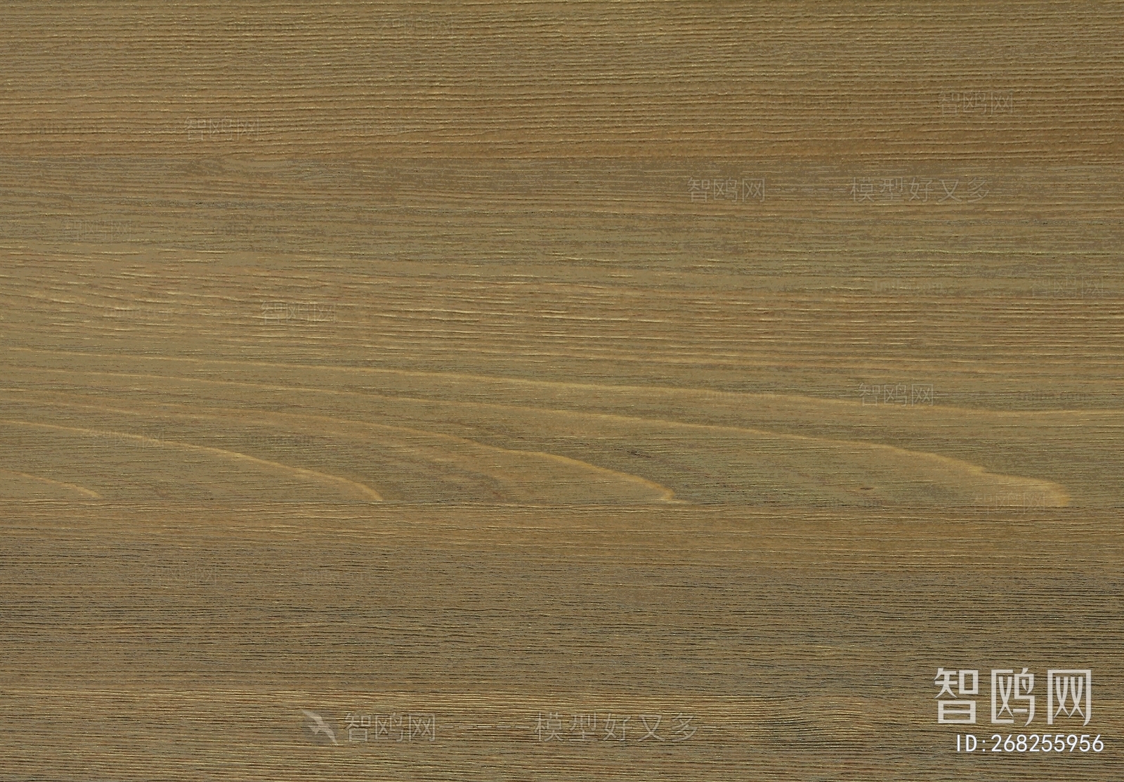 Wood Texture