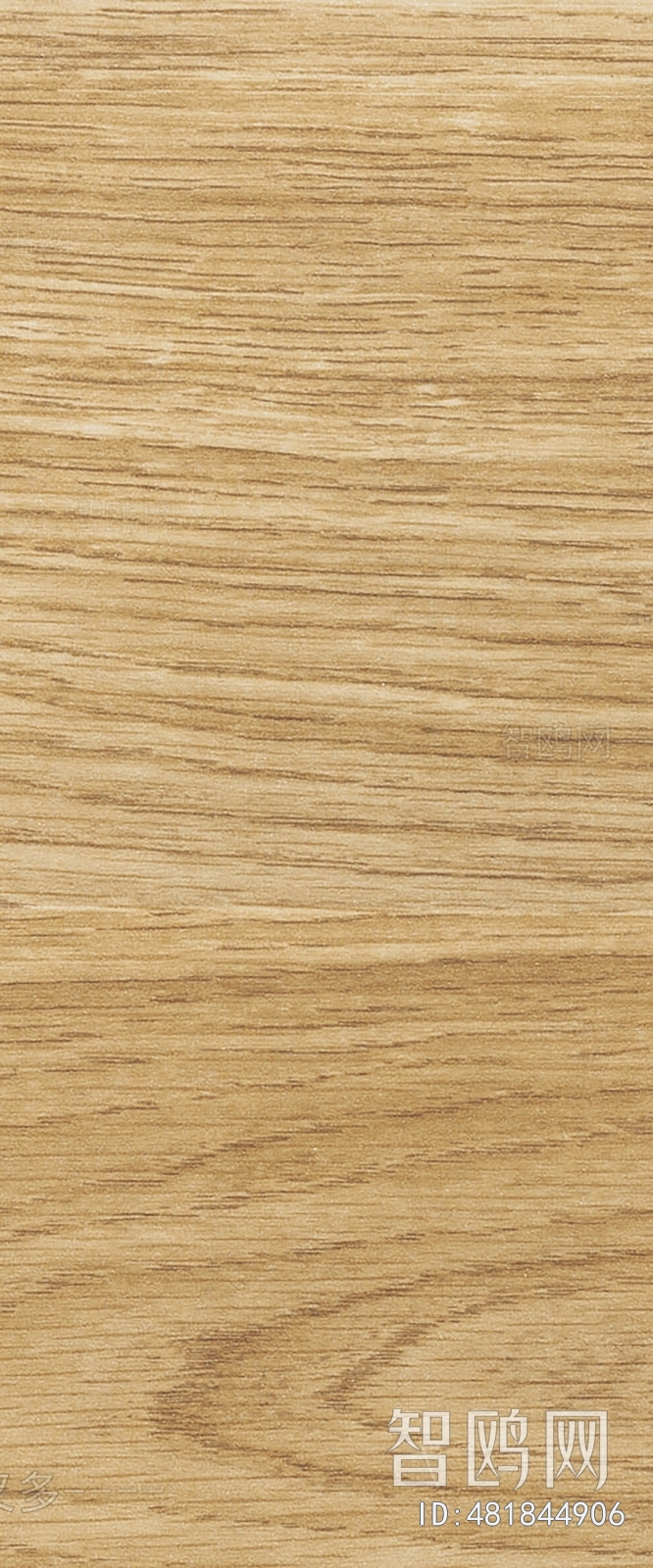 Wood Texture