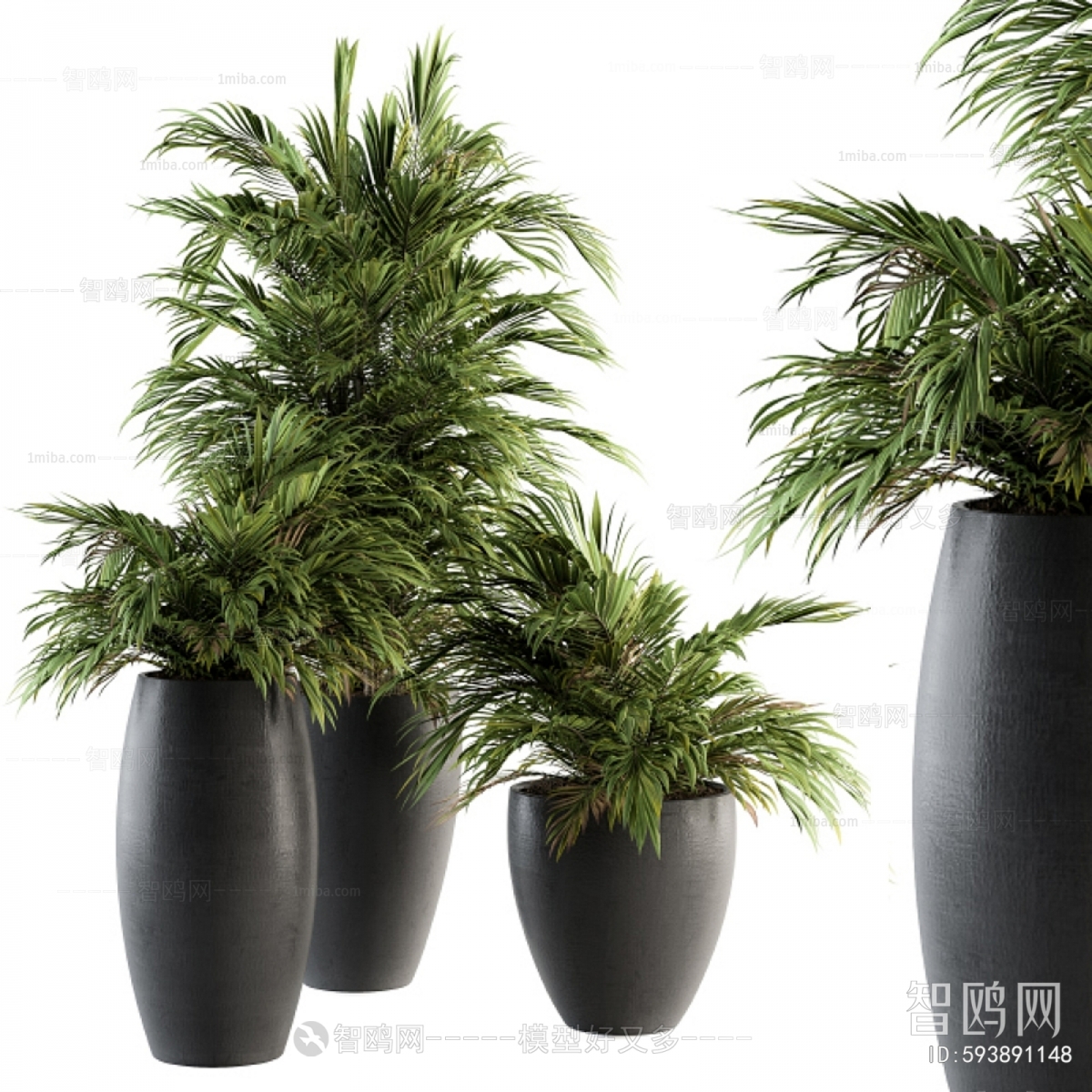 Modern Potted Green Plant