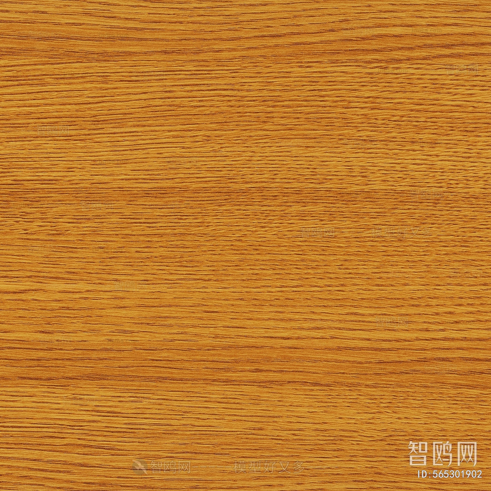 Wood Texture