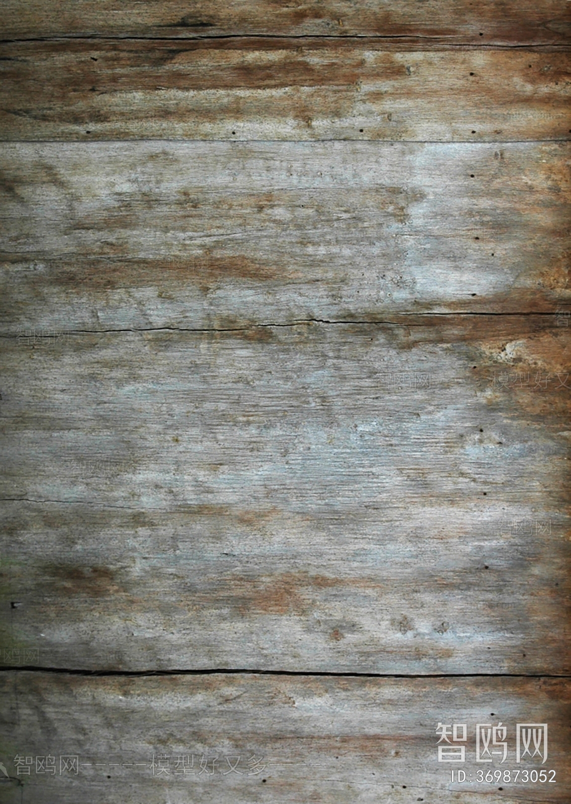 Bark Texture