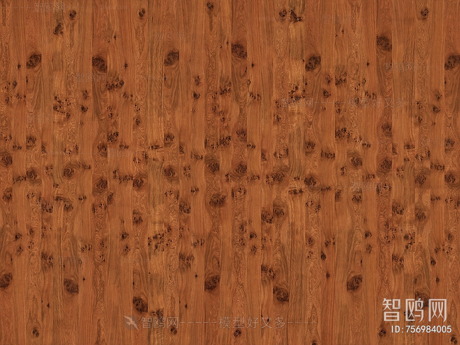 Wood Texture