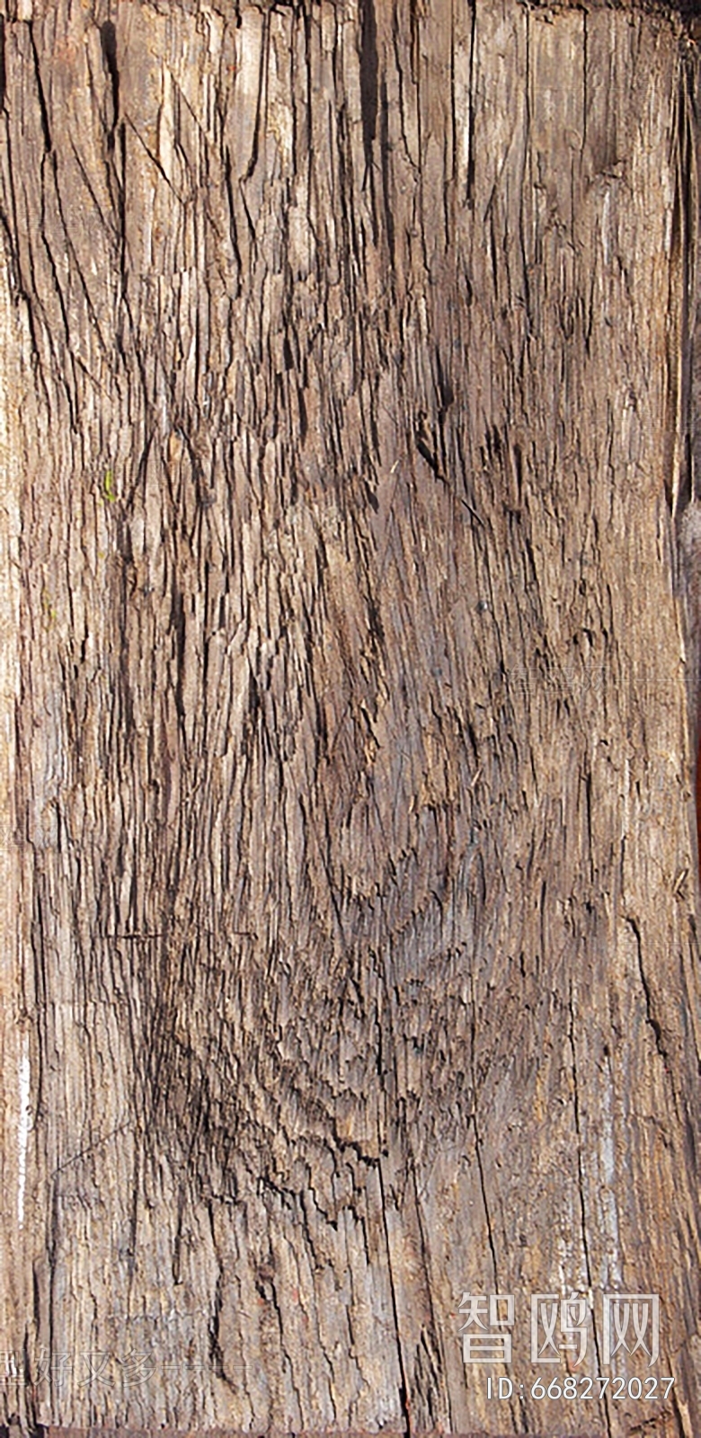残旧木树皮贴图
