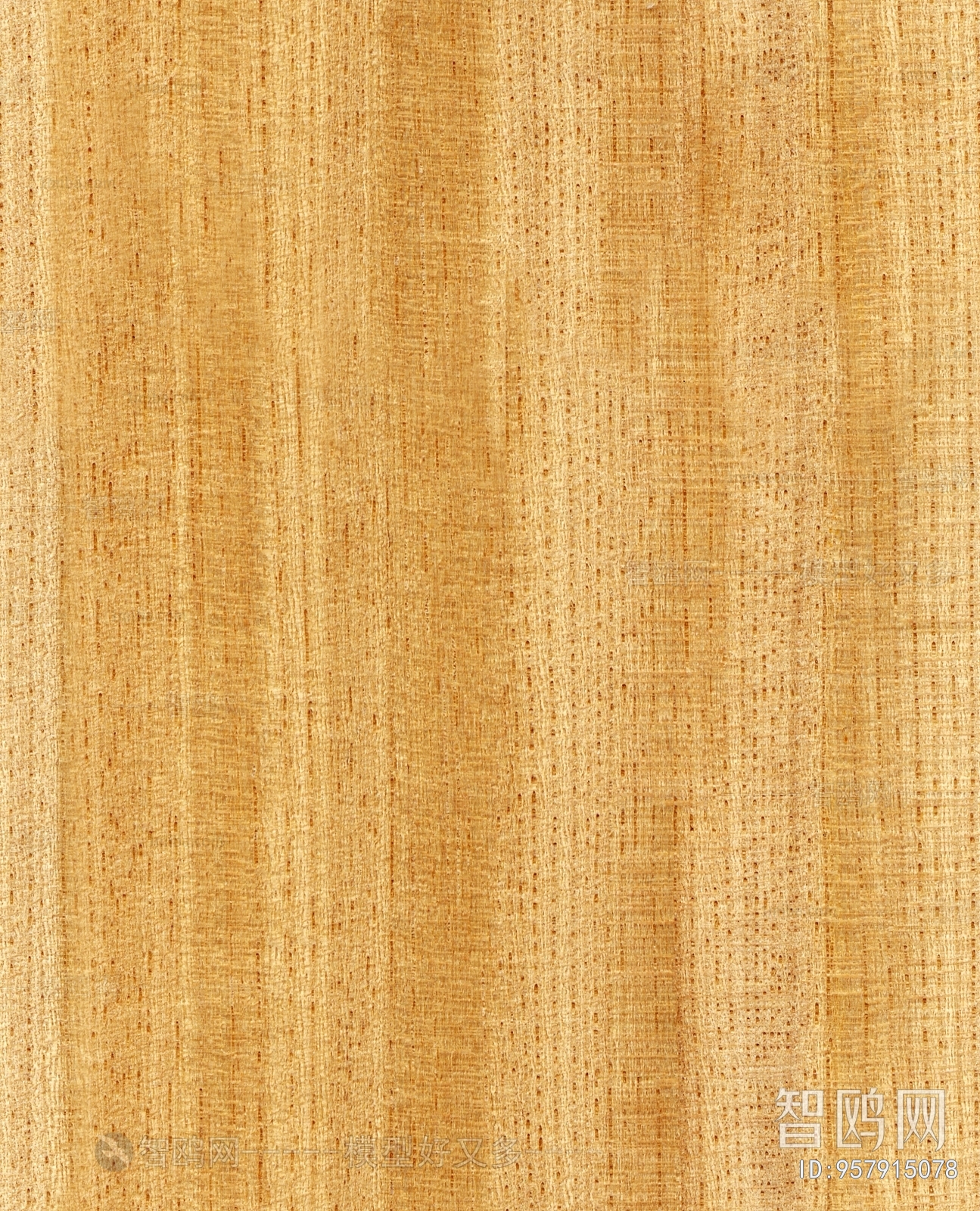 Wood Texture