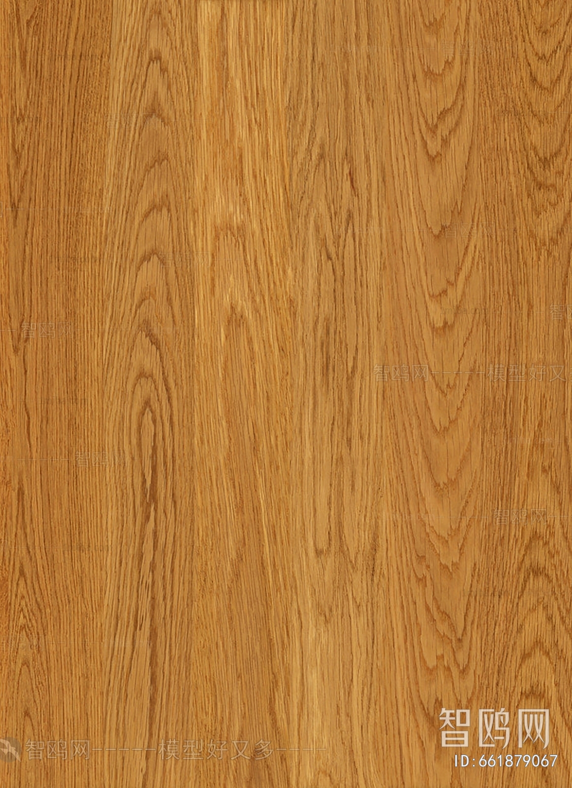 Wood Texture