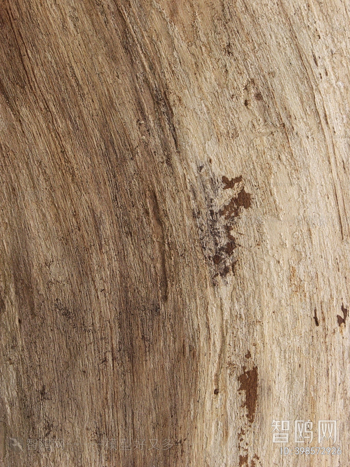 Bark Texture