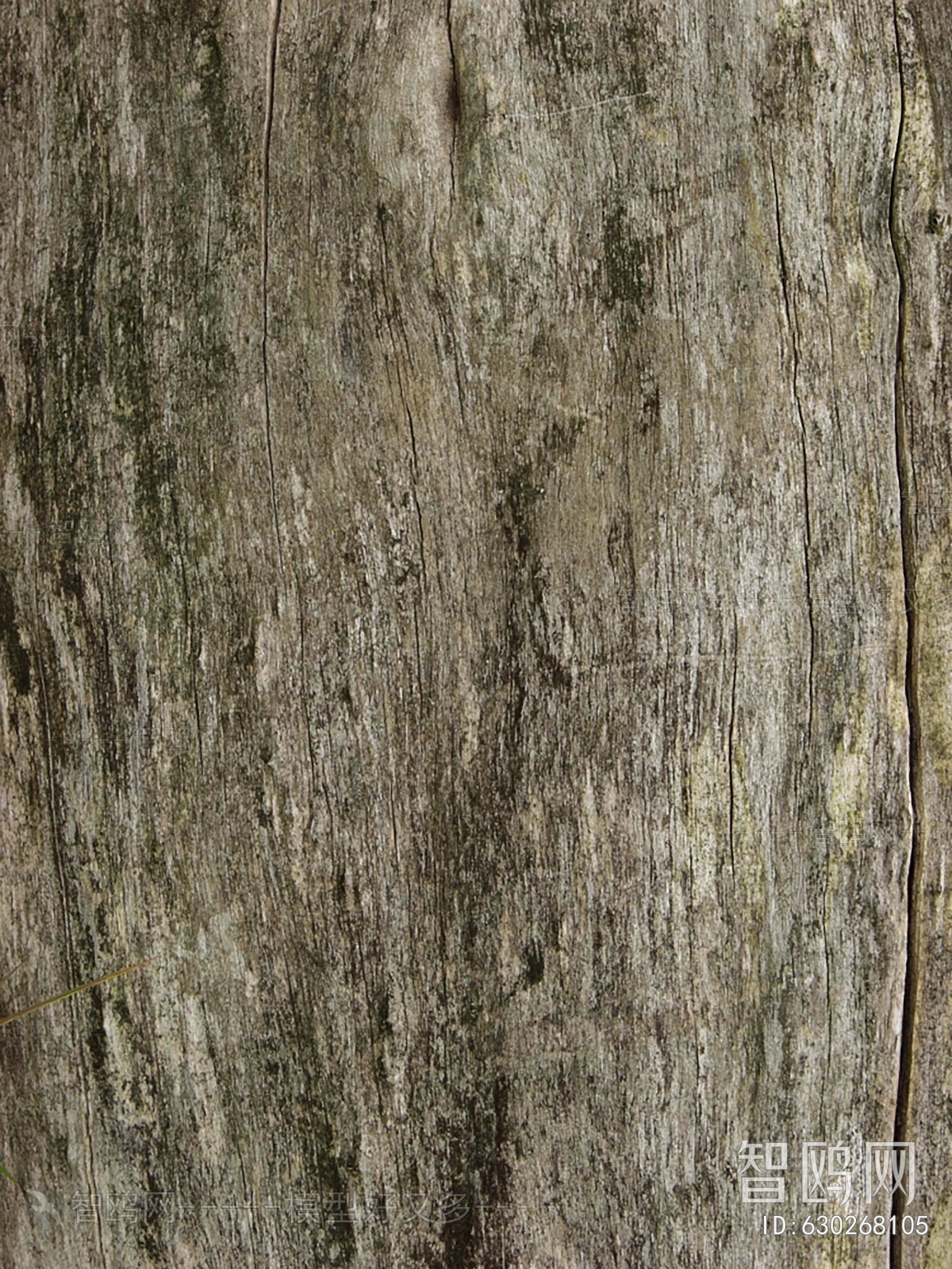 残旧木树皮贴图