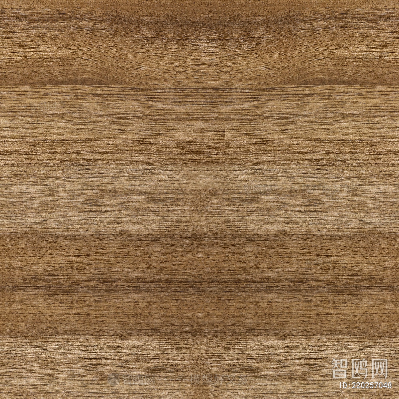 Wood Texture