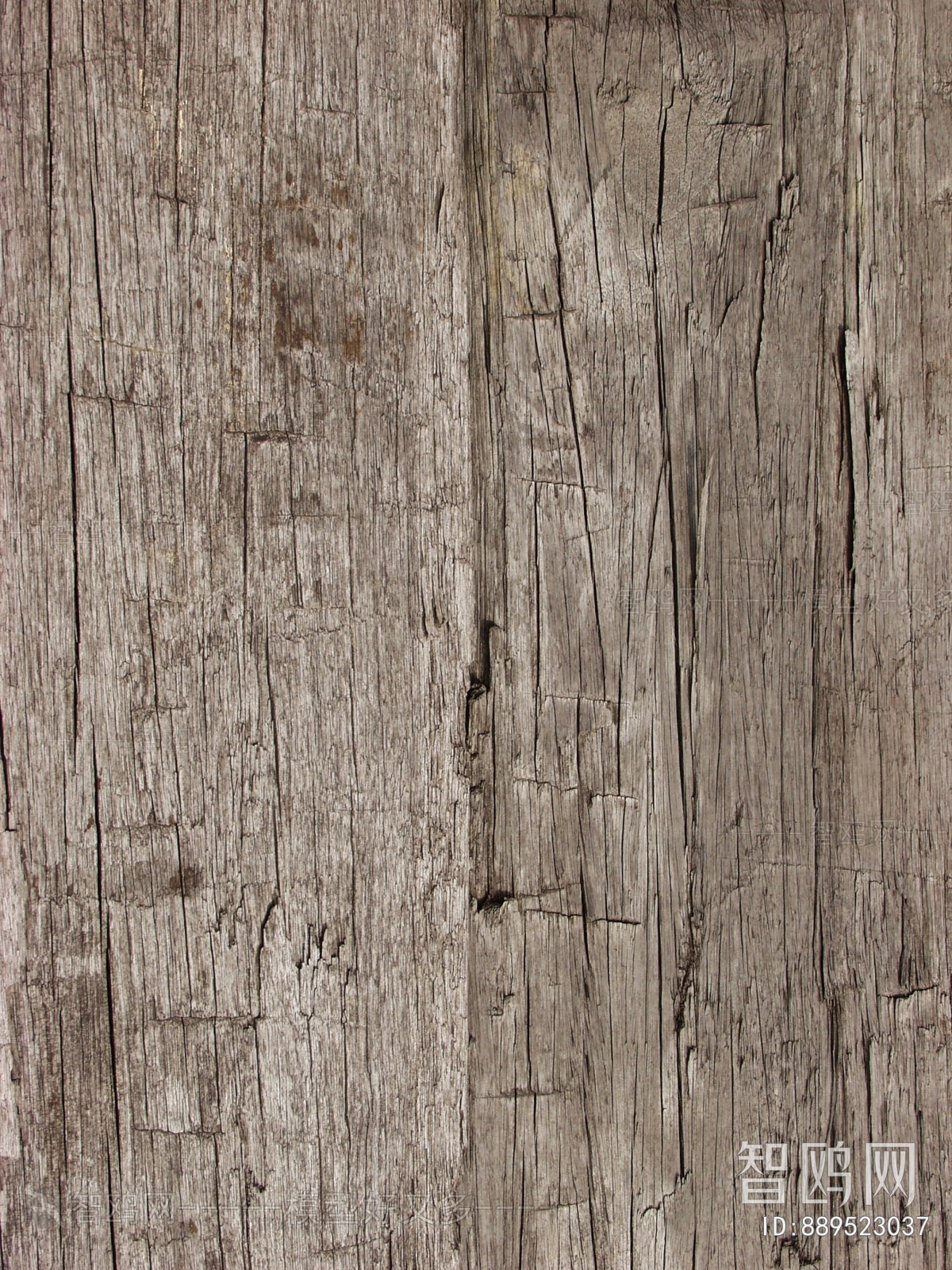 Wood Texture