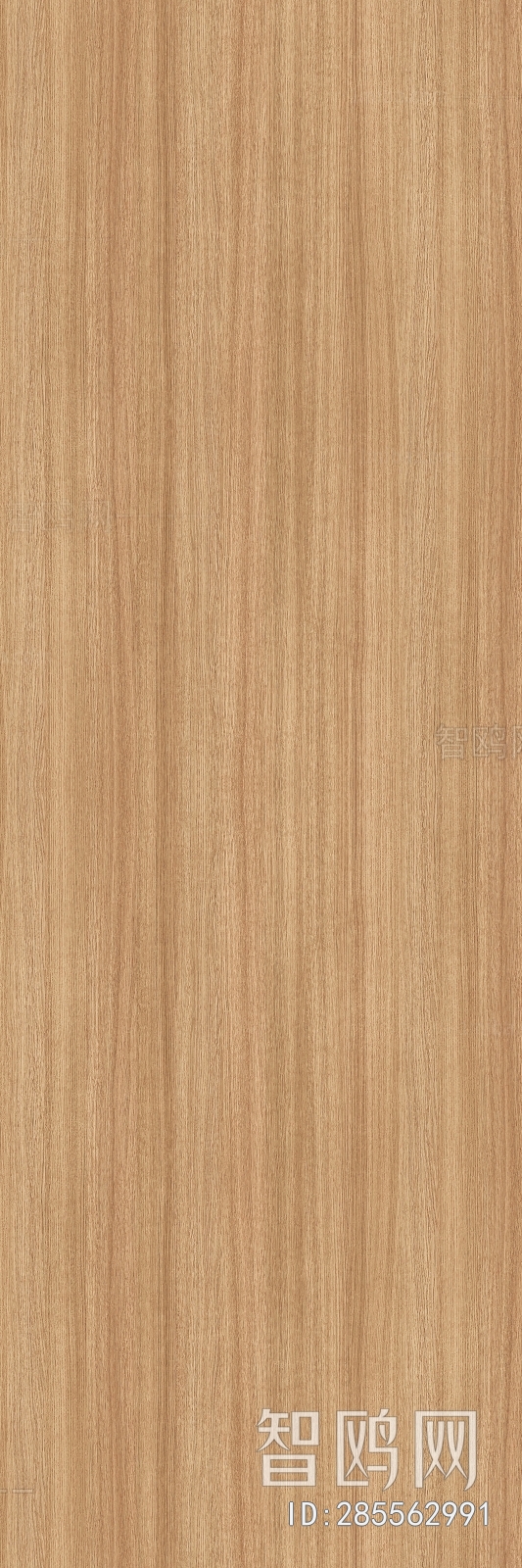 Wood Texture