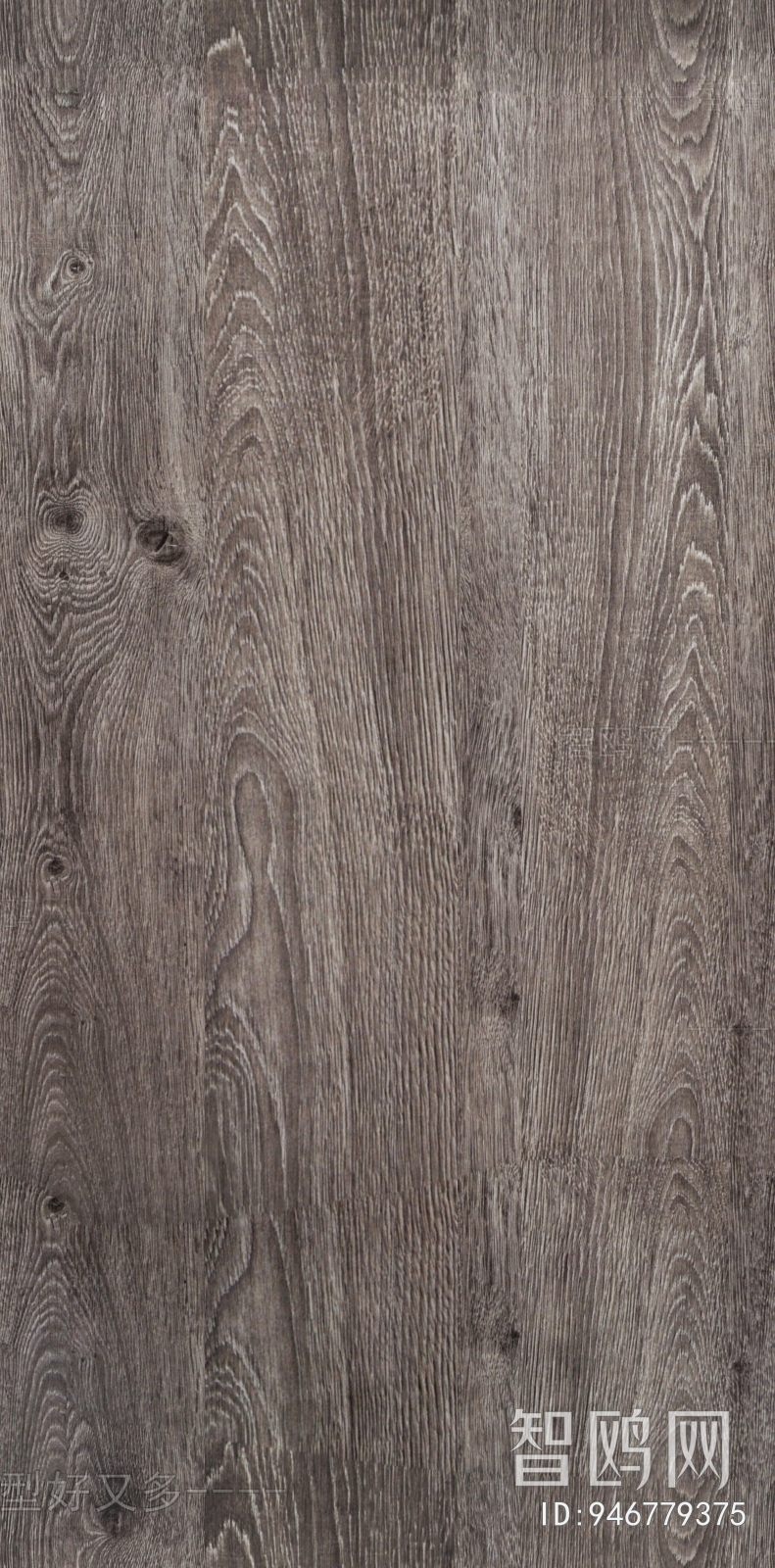 Wood Texture