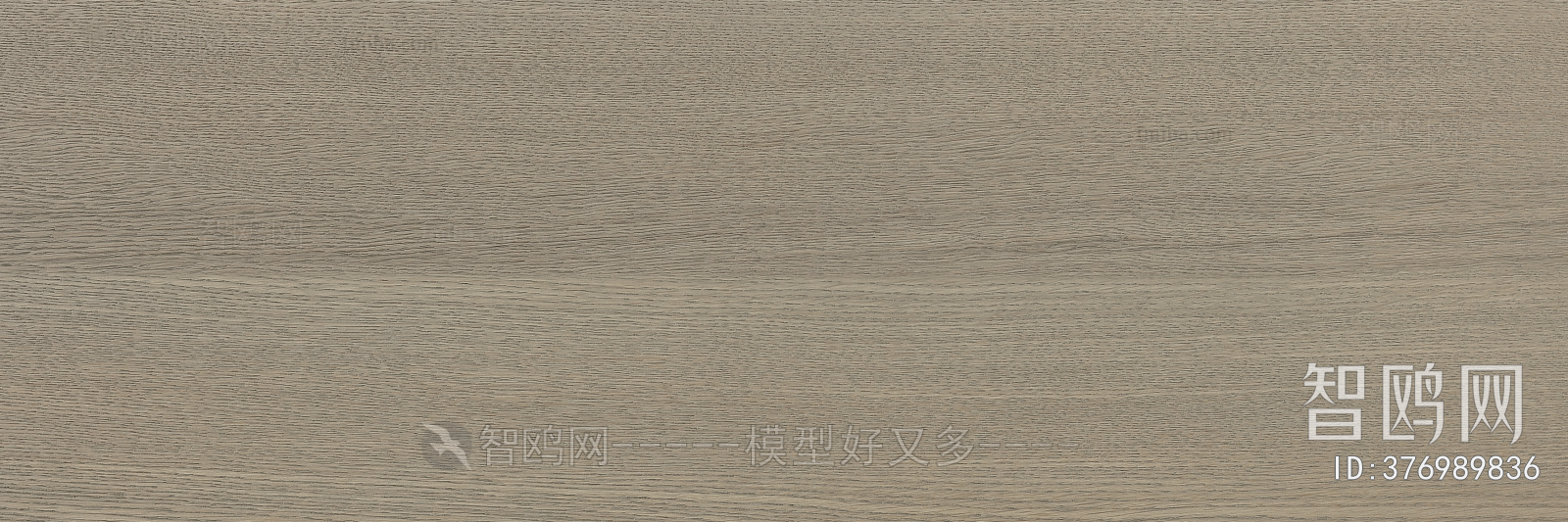 Wood Texture