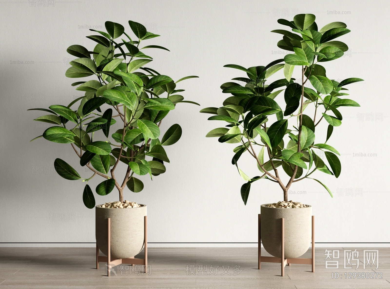 Modern Ground Green Plant Potted Plants