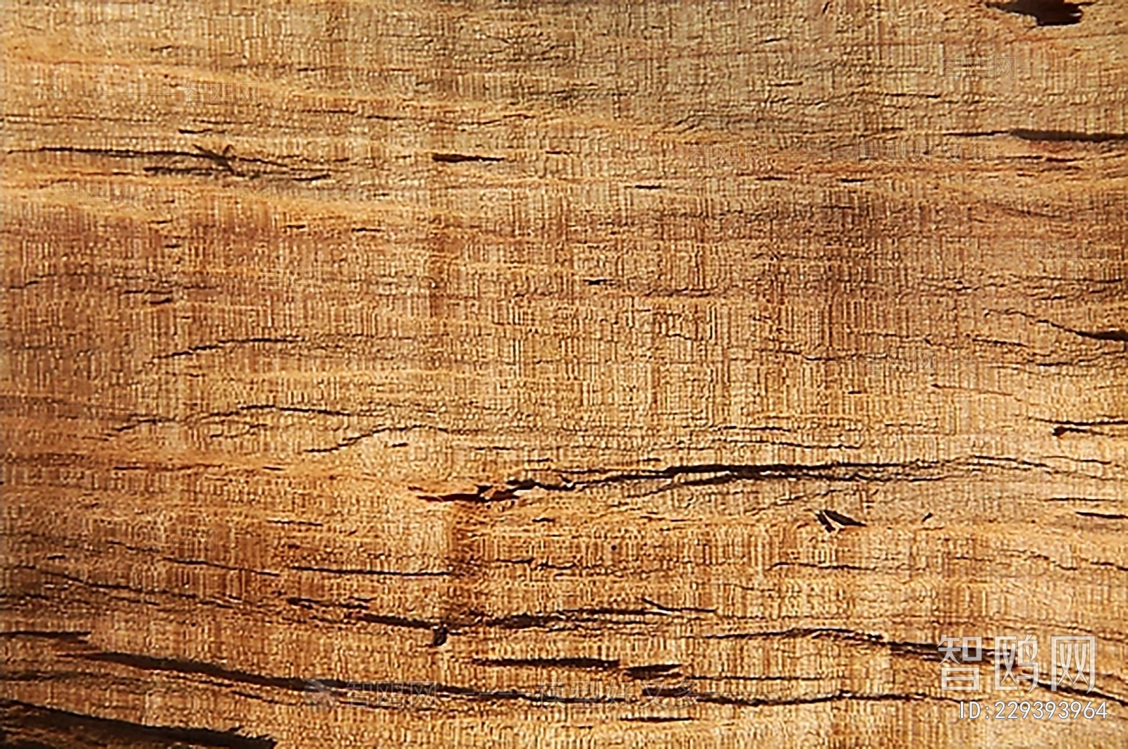 Wood Texture