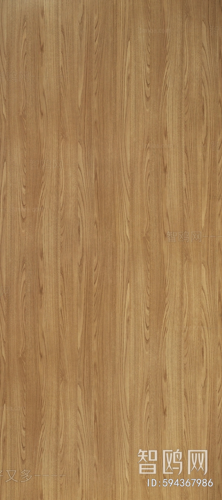 Wood Texture