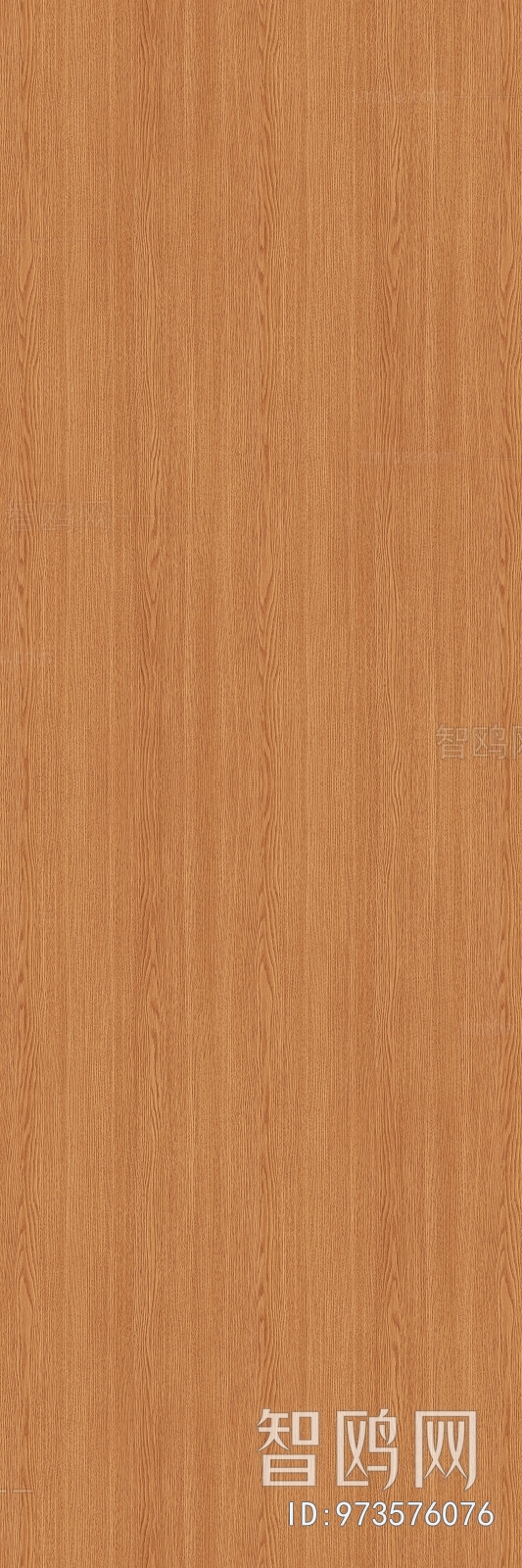 Wood Texture