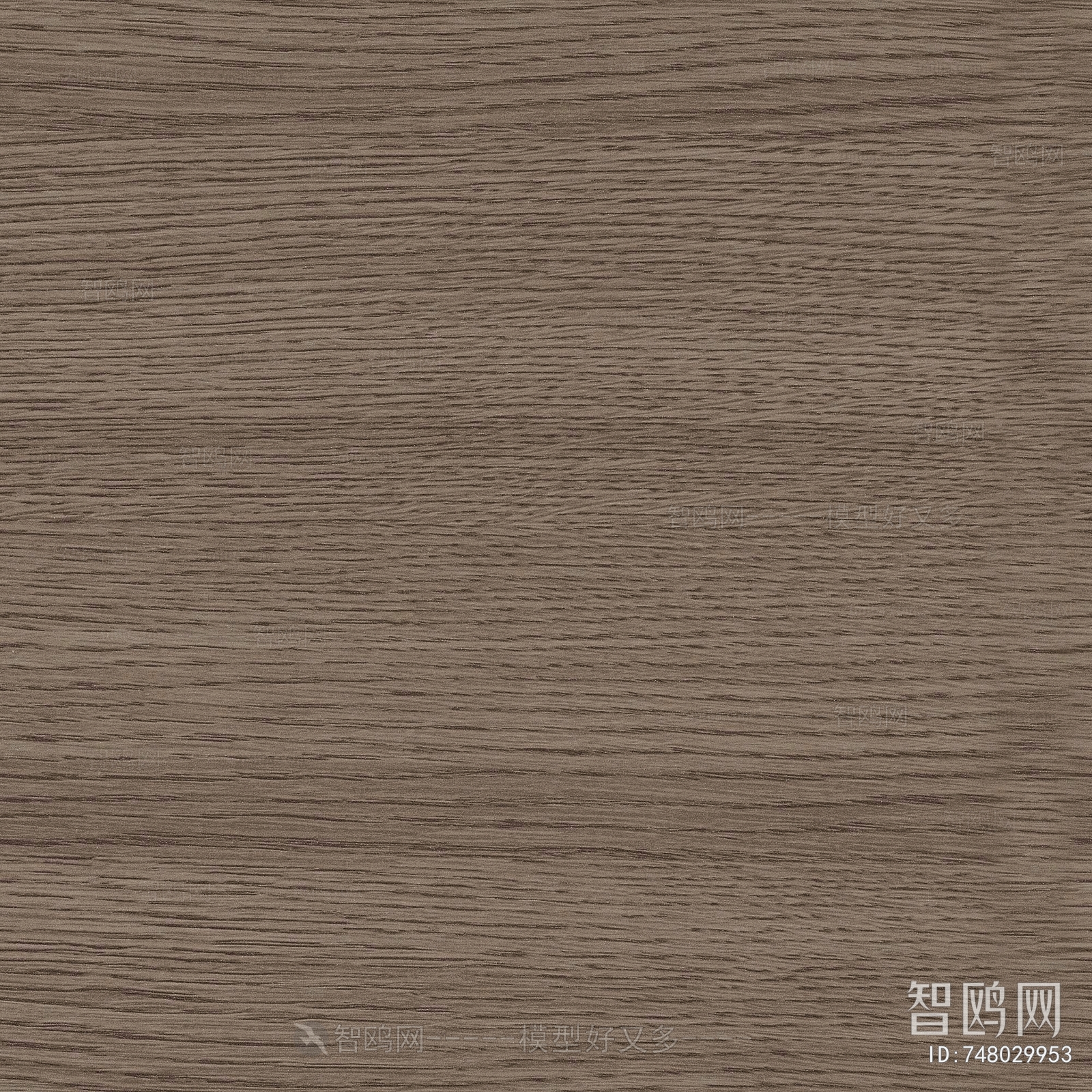 Wood Texture