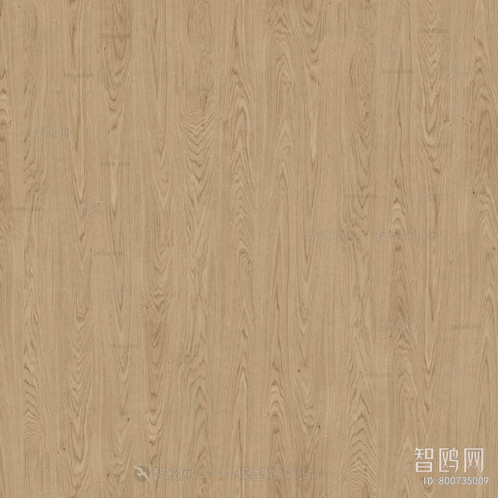 Wood Texture