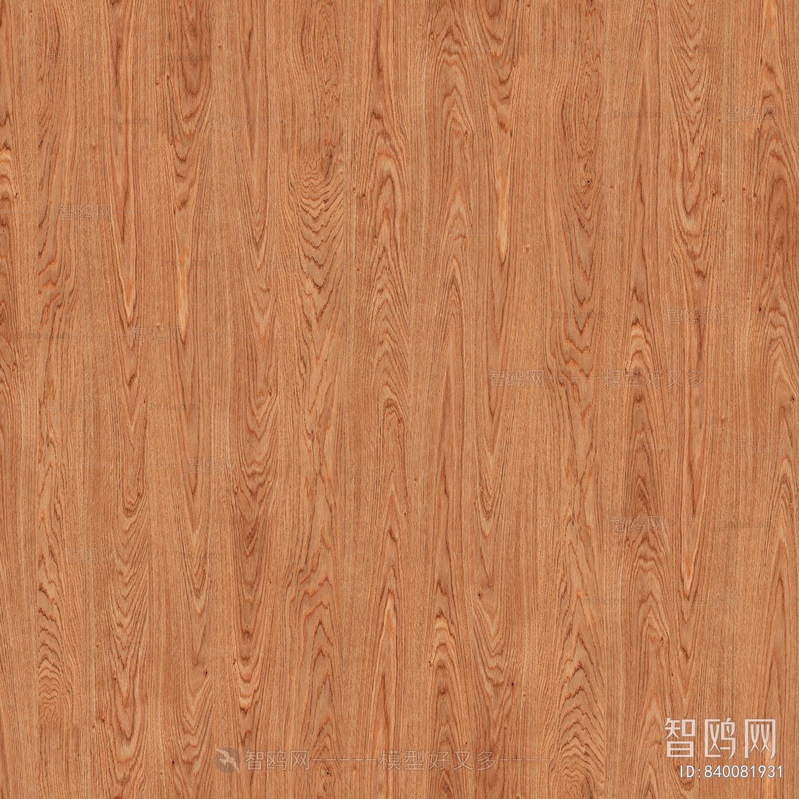 Wood Texture