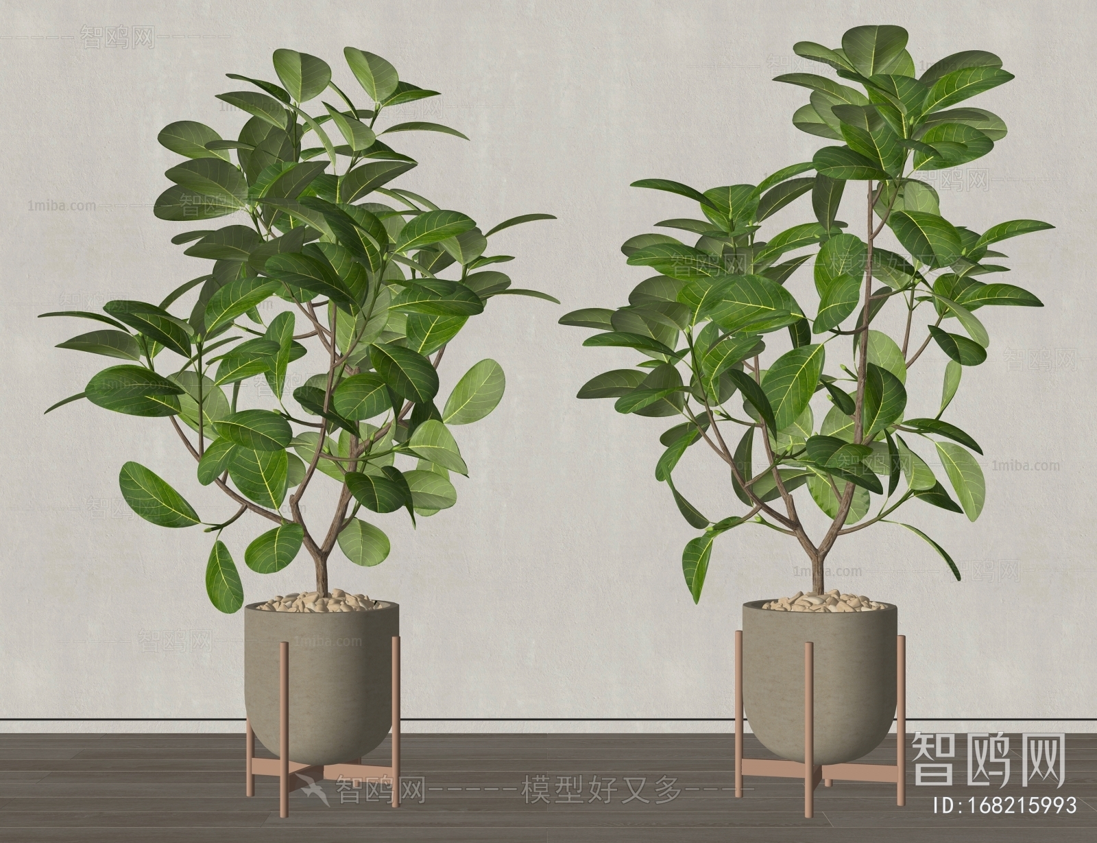 Modern Ground Green Plant Potted Plants