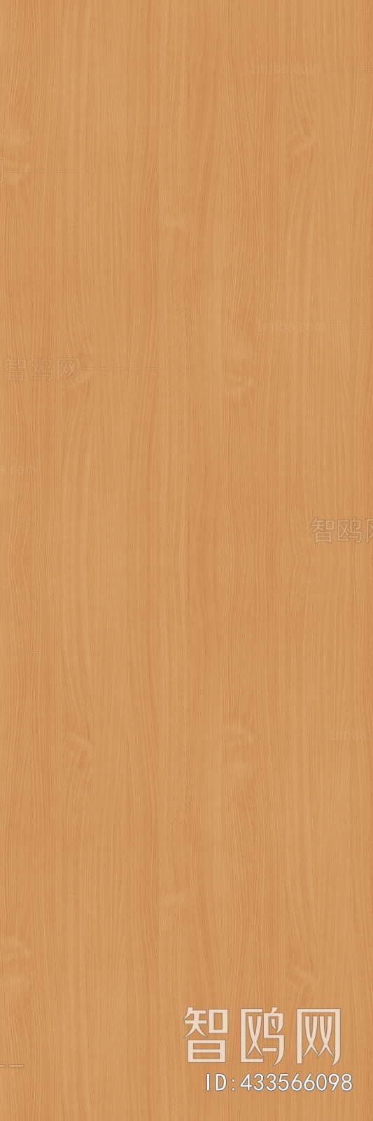 Wood Texture