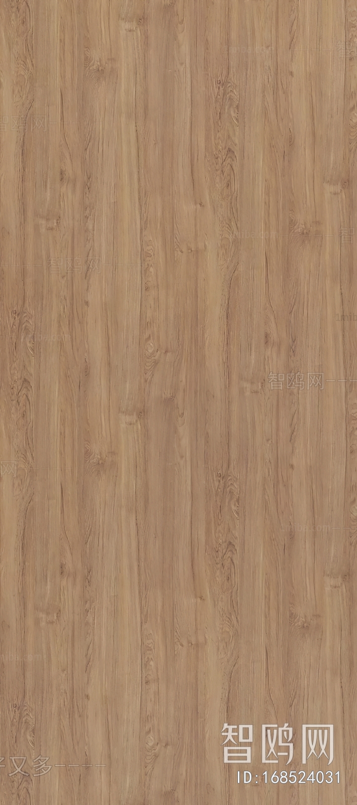 Wood Texture