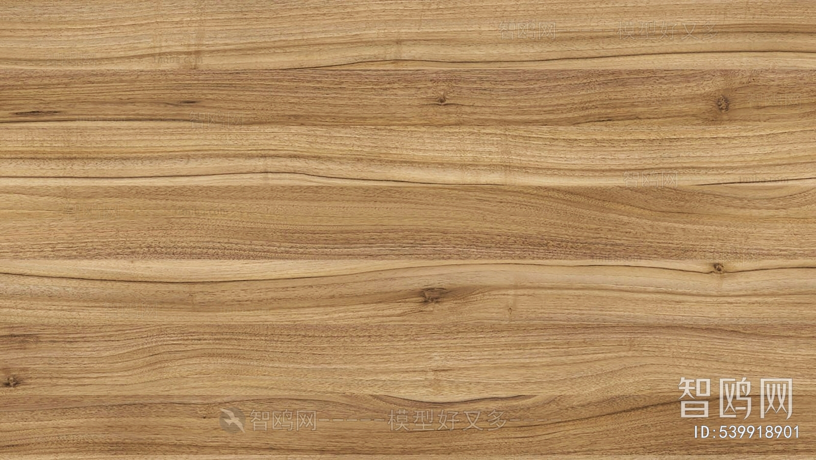 Wood Texture