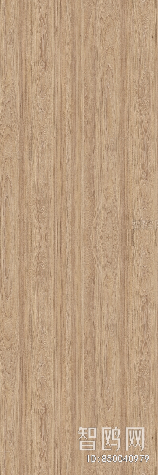 Wood Texture