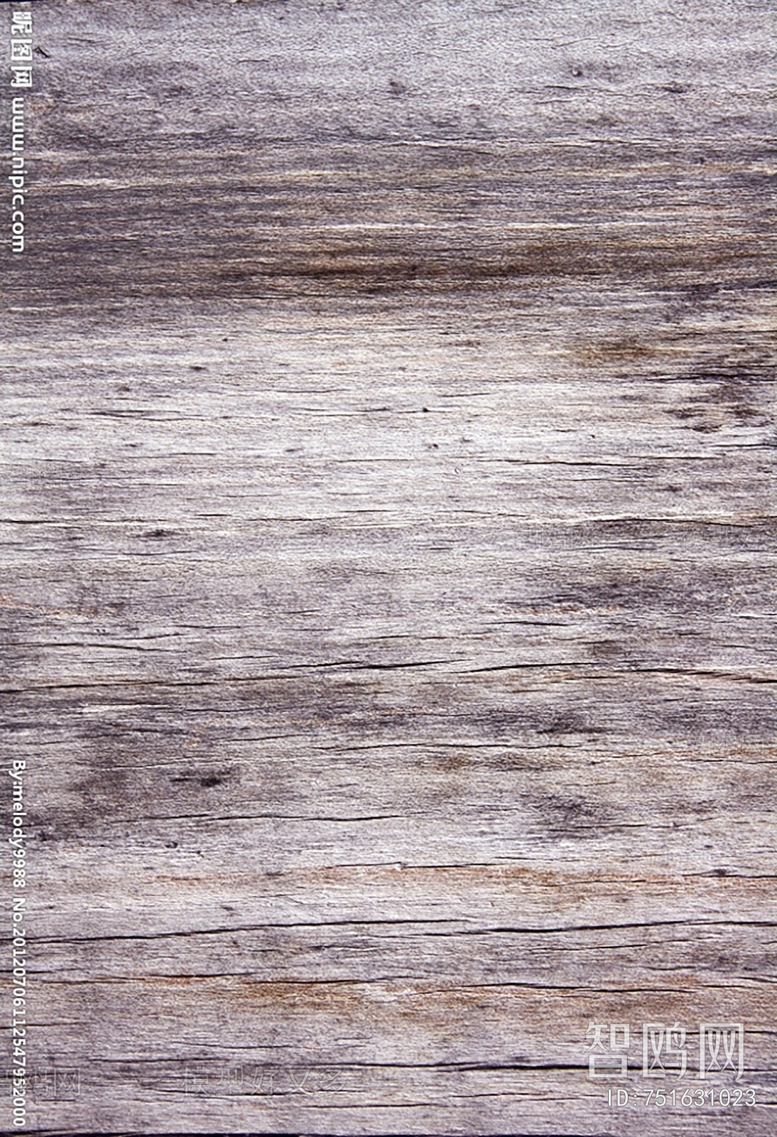 Bark Texture