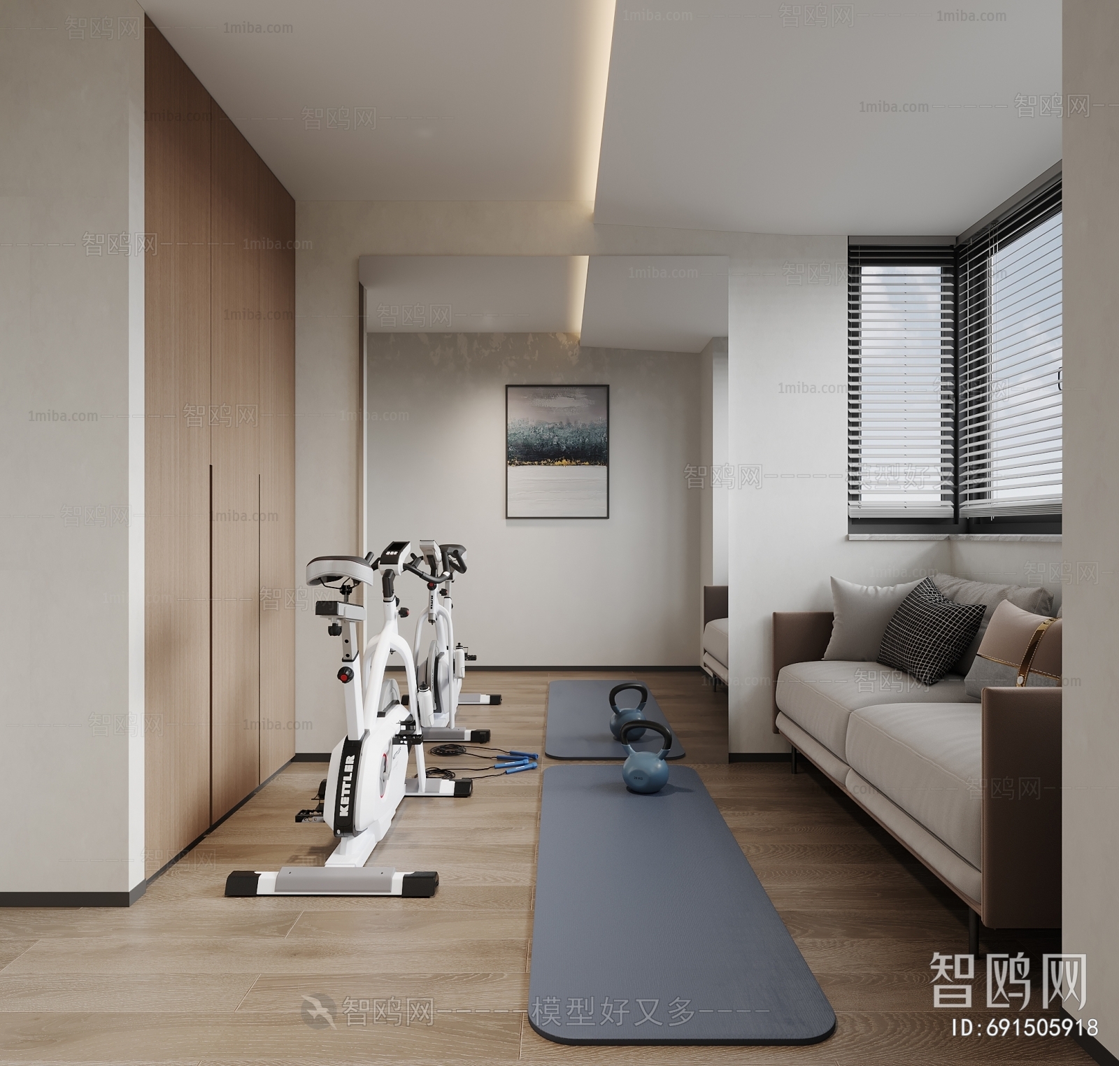 Modern Home Fitness Room