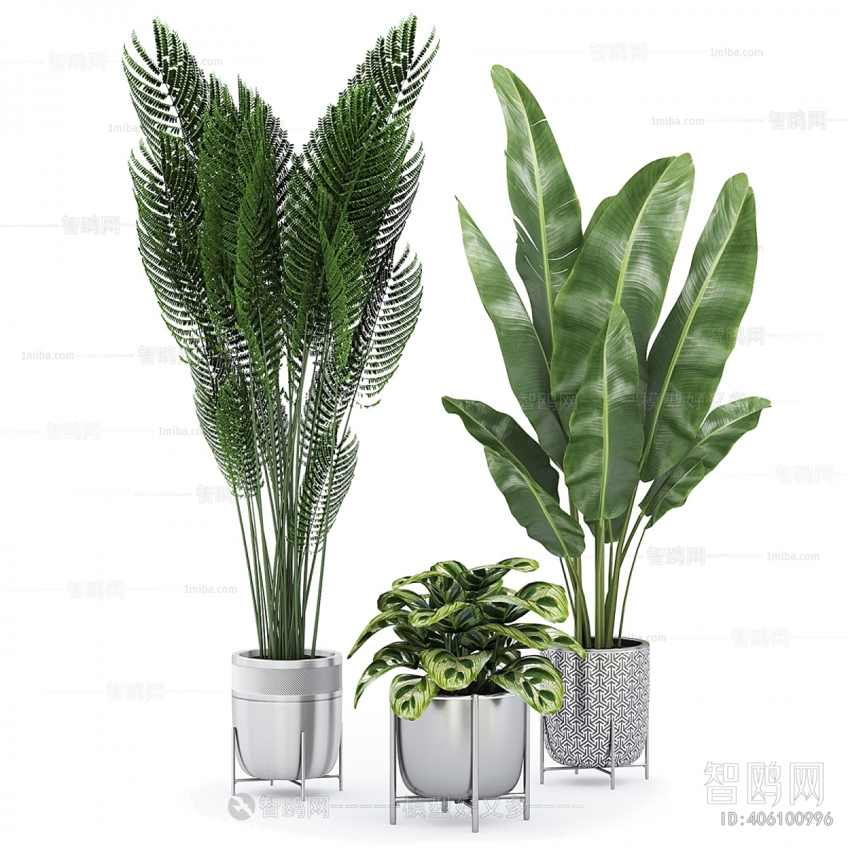 Modern Ground Green Plant Potted Plants