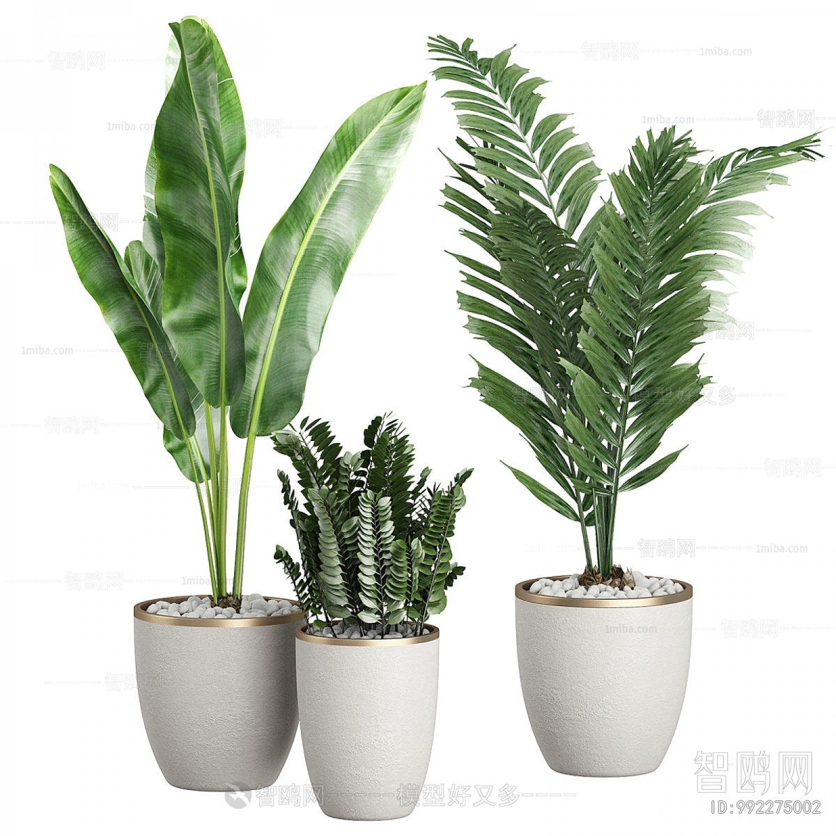 Modern Ground Green Plant Potted Plants